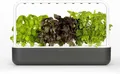 Click & Grow Smart Garden 9, Dunkelgrau – Intelligenter Indoor-Garten mit automa