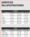Derbystar Futsal Bundesliga Brillant APS Gr. 4 Indoor Halle Spielball Fußball