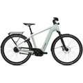 Flyer Gotour 7.23 Gents - Frosty Sage - 48cm | 28