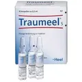 Traumeel S Ampullen 10 St.