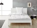 Balette Daunenbettdecke »Premium Selection 100%«, (200 x 200 cm) - B-Ware 