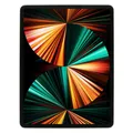 Apple iPad Pro 12,9" WiFi + Cellular 2021 128 GB silber Sehr guter Zustand **