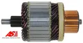 AS-PL SA6008 Anker für Starter