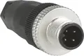 Stecker M12 gerade XZCC12MDM40B (XZCC12MDM40B)