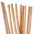UNUS® Bambusstäbe 10 Stück , Rankstäbe, Pflanzenstäbe Bambus 105cm naturfarbend