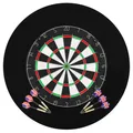 Dartscheibe 6 Dartpfeilen Surround Profi Dartboard Steeldart Dart Set vidaXL