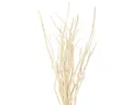 Trockenblume Mitsumata Zweige Weiß Deko 34-60cm 12 St Naturdeko Asiatisch, 12 Stück, Viana, Höhe 2 cm