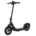 Egret X core E-Scooter, Graphite