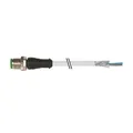 Murrelektronik M12-Stecker 7000-13061-3180500 Steckverbinder M12-Stecker