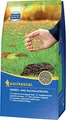 Kiepenkerl Herbst- und NachsaatrasenKiepenkerl 1 kg