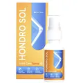 HondroSol Hondro Sol LaCrea Gelenkpflege-Spray mit Arnika Naturstoffen Neu Blitz
