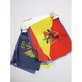 AZ FLAG - Fahnenkette 20 Regionen Von Italien 6 Meter Mit 20 Flaggen - 21x14 cm - Italienische Girlande Flaggenkette 14 x 21 Cm