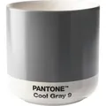 Pantone Thermobecher 190 ml grau