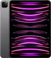 Apple iPad Pro, 27,9 cm (11"), 2388 x 1668 Pixel, 128 GB, 8 GB, iPadOS 16, Grau