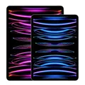 Apple iPad Pro 11" Wi-Fi 2022 128 GB space grau Sehr guter Zustand **