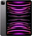 Apple iPad Pro (2022) 128GB [11" WiFi only] spacegrau