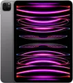 Apple iPad Pro (2022) – 11 Zoll – WLAN – 128 GB – Spacegrijs