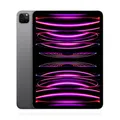 Apple iPad Pro 11" (2022) 128GB WiFi Space Grau *TOP* MwSt nicht ausweisbar