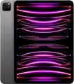 Apple iPad Pro 11“ 4.Generation 2022 M2 128GB Space Grau / Wie Neu