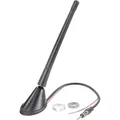 Renkforce Aktive 12 V Antenne (RF-5044654)