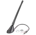 Renkforce Aktive 12 V Antenne RF-5044654 Stabantenne, mit Verstärker