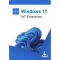 Windows 11 IoT Enterprise