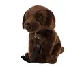 Teddys Rothenburg Kuscheltier Labrador Hund dunkelbraun sitzend mit Leine 35 cm Plüschhund (Stofftier, Plüschtier, Stoffhund), mit Leine