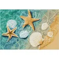 Diamond Dotz Diamond Painting Muscheln und Seesterne (DQ8.003)