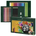 FABER-CASTELL Malset Polychromos & Pitt Graphite Matt 210054