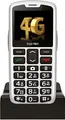 Bea-fon SL260 LTE Silber (SL260LTE_EU001SB)