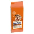 7613287575456 PURINA Dog Chow Mature Senior mit Lamm - Hundetrockenfutter - 14 k