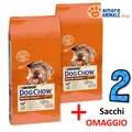 2 Säcke - PURINA Dog Chow → SENIOR, Lamm - 14 kg - Hund, Hunde (ex Tonus)
