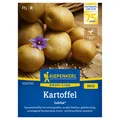 Kiepenkerl Saatgut Kartoffel 'Jubila', gelb