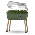 Gusta Garden Sammy Salad (104A10)