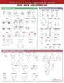 Travell, Simons & Simons Trigger Point Pain Patterns Buch Wolters Kluwer Health