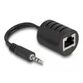 DELOCK Stereo Audio Extender RJ45 Bu zu 3,5mm Klinkenst 2 St