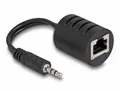 Delock 87858 RJ45 / Klinke Audio Anschlusskabel [1x RJ45-Buchse - 1x Klinkenstecker 3.5 mm] Schwarz