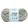 Lion Brand Yarn Company 640-542 Wool-Ease dickes und schnelles Garn, Seeglas, 1 Knäuel