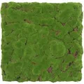 Jangal Wandpaneel Modular Wall Forest Green Bulk Design moos 52 x 52 cm