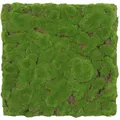 Jangal Akustikpaneel Modular Wall System Design Moos, Hellgrün, Naturmaterialien, 52x52x2.6 cm, Handmade Quality, Montage ohne Bohren, Tapeten & Wandverkleidungen, Akustikpaneele