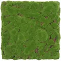 Jangal - Modular Wall Akustik 3d Paneele 520 X 520 Mm Forest Green Bulk Design Moos Kunst Pflanzwand Moospaneele