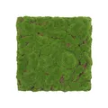 JANGAL Modular Wall Pflanzenwand  520 x 520 mm Design Moos Forest Green Bulk