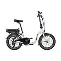 Blaupunkt Berta Falt E-Bike 20 Zoll Elektro-Fahrrad LCD-Fahrrad-Computer