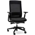 Yaasa Chair Essential Bürostuhl Ergonomisch, Schwarz – Traglast 130 kg – Regulierbare Lordosenstütze – 3D-Armlehnen – Anpassbare Rückenl... - Schwarz