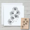 NEWSTAMPS Stempel Ginkgoranke Motivstempel groß aus Holz & Gummi zum Karten basteln, Holzstempel, Blumen, Pflanzen, Floral, Wiese, Gräser, Scrapbook, Textilstempel, Deko, Kinder