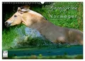 Fjordpferde - Norweger (Wandkalender 2026 DIN A3 quer), CALVENDO Monatskalender: Kalender Fjordpferde / Norweger (CALVENDO Tiere)