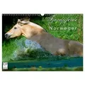 Fjordpferde - Norweger (Wandkalender 2026 DIN A3 quer) CALVENDO Monatskalender von Ramona Dünisch - www.Ramona-Duenisch.de/ Calvendo / Calvendo / Kale