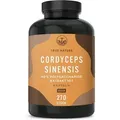 Cordyceps Sinensis (CS-4 Extrakt) - 270 Kapseln mit 40% Polysacchariden - Hochdosierter Vitalpilz - 1000 mg Tagesdosis - Vegan & Deutsche Produktio...