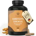 Cordyceps Kapseln hochdosiert - 270 Stück - 19.500mg pro Tag (10:1 Extrakt) - mit 40% bioaktiven Polysacchariden - Vegan - TRUE NATURE