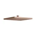 KEUCO Kopfbrause, eckig, 250x250 mm, 53086290100, Farbe: rotgold gebürstet